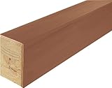 大建工業 WPC造作材 WPC日本の樹 玄関造作材 上り框（芯あり） YPZ31-26NW センNW 1本入り 1950mmタイプ 大建 DAIKEN ダイケン WPC床材 床
