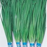 国華園　野菜たね　健康野菜　大葉ニラ　1袋(5ml入)【※発送が国華園からの場合のみ正規品です】