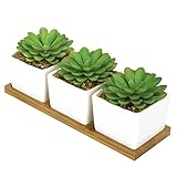 Set of 3人工ミニ多肉植物in SquareホワイトセラミックPots and Removable竹トレイ