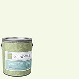 Inspired Eggshell Interior Paint, Imagine .03, Gallon [並行輸入品]