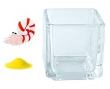 花市場直送便 ミニチュアガラス アンモナイト & カラーサンド イエロー & 植え込み用グラス ニューブロックS