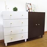 GOLDキャビネット キャビネット 扉 幅60 収納 ホワイト ダークブラウン 日本製 国内生産 cg-60t (ホワイト)