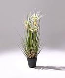 萩原 アーティフィシャルフラワー サニーグラス SS [高さ:約53cm]