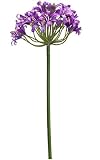 クラブパック12の人工パープルBlooming Agapanthus Stems 27 "