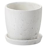 Paseo シャビープランター w plate HC-06B