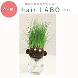 hair LABO（ヘアーラボ）底面給水タイプ：丸顔[頭から芝が生える！] ノーブランド品