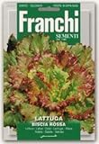【FRANCHI社種子】【78/21】レタス　BISCIA ROSSA