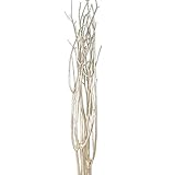 大地農園 ドライフラワー 三又100cm (5本入り) #プラチナ DO052371-932