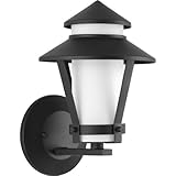 Progress Lighting p6010 via 1ライト11 " Tallアウトドア壁取り付け用燭台with Etched OPA、 94601031 1