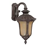 1 Light - Small Wall Fixture - Arm Down - Amber Water Glass [並行輸入品]
