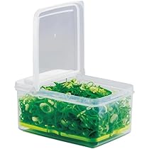 Shop Japan 保存容器 10点セット 緑 Shop Japan 保存容器 10点セット 緑 楽天市場】グリーン 緑