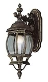 Trans Globe Lighting 4053 VG 1-Light Coach Lantern, Verde Green [並行輸入品]