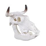 Baoblaze 樹脂　水族館　生き生き　飾り　環境美化　テラリウム　爬虫類　　タンク　装飾　工芸品　多種類選べ - バッファロースカル