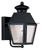 Livex Lighting 2160-04 Mansfield 1-Light Outdoor Wall Lantern, Black [並行輸入品]