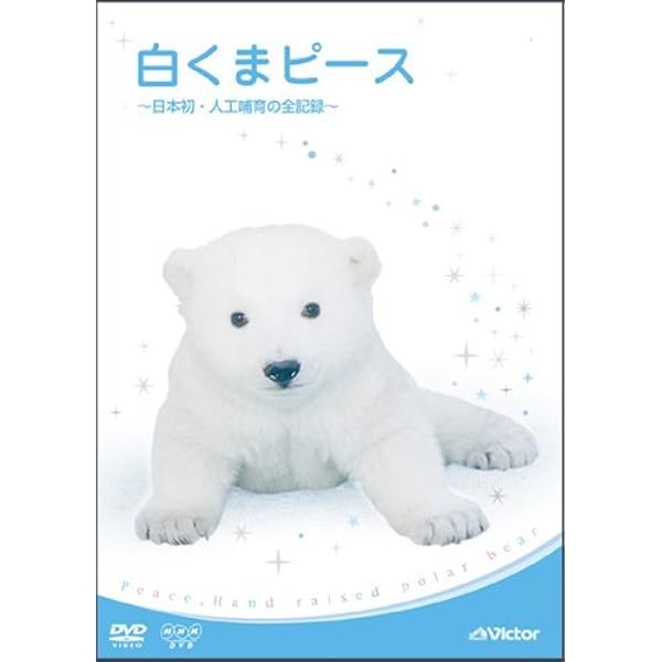 くまページ Amazon.co.jp: セキグチ くまのがっこう ジャッキー ベーシック