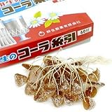 Amazon Co Jp 糸引き飴 フルーツ 60付 食品 飲料 お酒