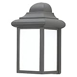 Sea Gull Lighting 8988PBLE-12 Single-Light Mullberry Hill Fluorescent Lantern with Smooth White Glas