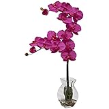 Nearly Natural 1295-BU Phalaenopsis Orchid with Vase Arrangement, Beauty [並行輸入品]