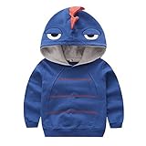 Boys秋長袖ストリップDinosaur Hoodie幼児用アウター服 US サイズ: M カラー: ブルー