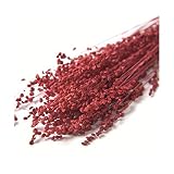 フロールエバー ドライフラワー ブリーザドライ 約20g (レッド)