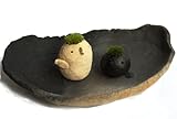 苔盆栽 モスモス モストリ 白 コトリ 黒 炭化焼締器セット