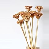一郎木創 花束 桧球花(6本入り) 木製 桧 TL-52