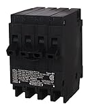 Murray MP23015 One 30-Amp Double Pole and Two 15-Amp Single Pole Circuit Breaker [並行輸入品]