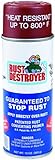 Advanced Protective Products Rust Destroyer Oil Base Red Primer Spray, 13-Ounce Aerosol [並行輸入品]