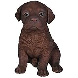 6.5 Choc Lab Puppy by Border Concepts