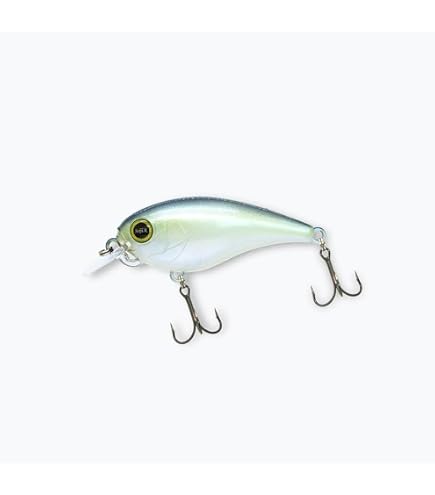 Amazon.co.jp: レヴォニック（REVONIK） サラモア （SARAMOA