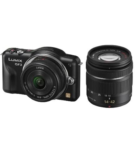 Amazon | Panasonic ミラーレス一眼カメラ GF1 レンズキット(14-45mm