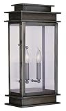 Livex Lighting 2018-29 Princeton Outdoor Wall Lantern [並行輸入品]