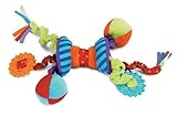 Manhattan Toy Ziggles Rattle and Teether Developmental Toy by Manhattan Toy [並行輸入品]
