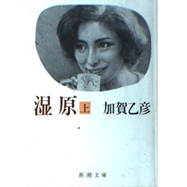Amazon.co.jp: 永遠の都 全七冊セット : 加賀 乙彦: 本