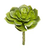 Darice Faux SucculentグリーンEcheveriaロゼット