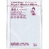 真空袋 彊美人 [X-2840] [厚80μ] [100枚入] (バラ出荷対応) [高強度五層/三方規格袋] [ナイロンポリ袋]