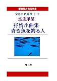 【大活字本】抒情小曲集　青き魚を釣る人 ―文語の名詩選（三）