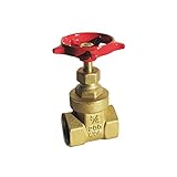 red-whiteバルブ2rw267経済ゲートバルブねじ付き、2 "