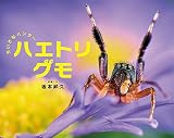 ちいさなハンター ハエトリグモ (ふしぎいっぱい写真絵本 37)