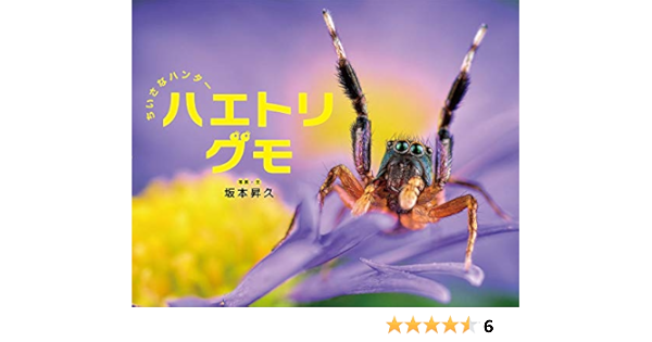 ちいさなハンター ハエトリグモ ふしぎいっぱい写真絵本 昇久 坂本 本 通販 Amazon