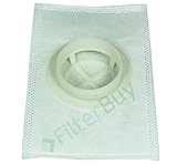 6 - Electrolux Aerus AP100 Canister Filters, Part LE-2100. Designed by FilterBuy to fit Electrolux/A