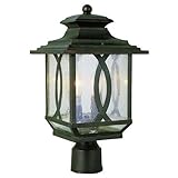 Trans Globe Lighting 5193 BRT 2-Light Post Lantern, Burnished Rust [並行輸入品]