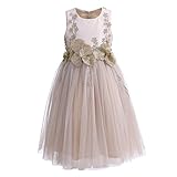 Pettigirl子供ドレス ニーレングス アップリケ フォーマル チュールロングドレス 演奏会　発表会 130cm [並行輸入品]