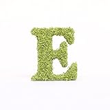 A plus floral art インテリアグリーン イニシャルモス [ E ] アルファベット オブジェ 置物 苔 イニシャル 雑貨 北欧風 インテリア