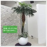 人工観葉植物 光触媒 パームヤシ 180cm