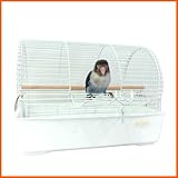 ミレニアムアーチ ホワイト