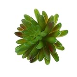 Lovoski 人工多肉植物　フラワー　 観葉植物　プラスチック製　工場　ホーム　デコレーション　9cm　緑