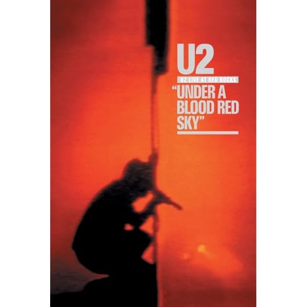 Amazon.co.jp: Zoo TV: Live From Sydney [DVD] : DVD