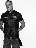 Theo Rossi 12 X 18メタルアルミ壁アート写真バナー# 1