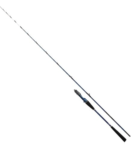 Amazon | ダイワ(DAIWA) テンヤタチウオロッド 極鋭タチウオテンヤSP 